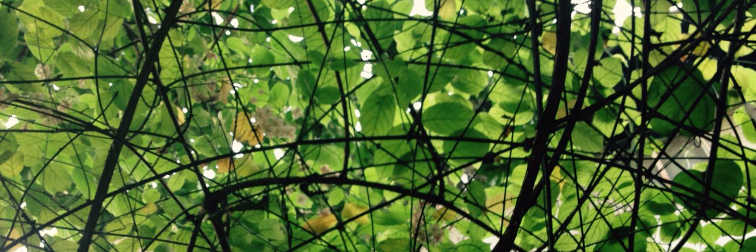 SuperDarkDex's profile banner image