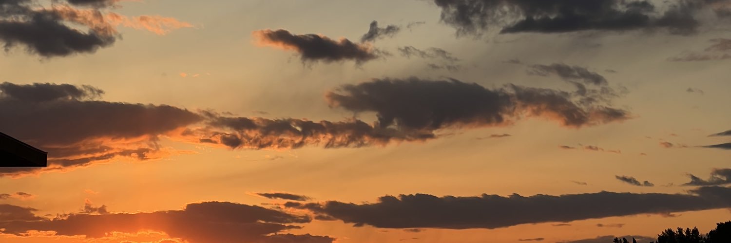 kuchilex's profile banner image