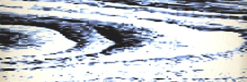 pkrandall's profile banner image