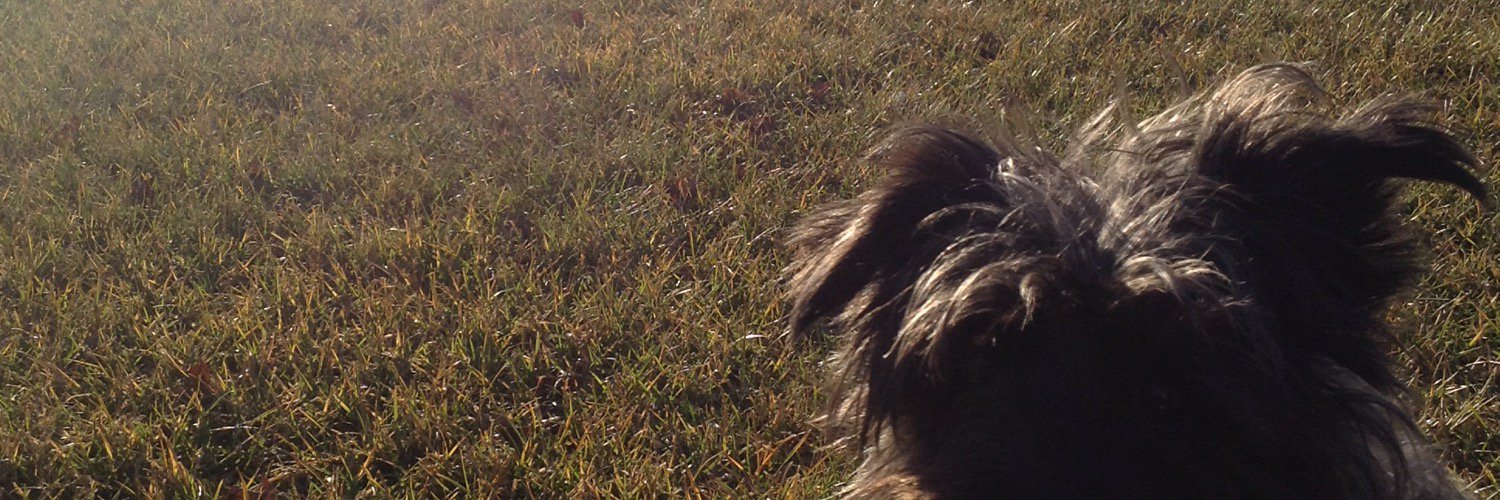 rezbezrez's profile banner image