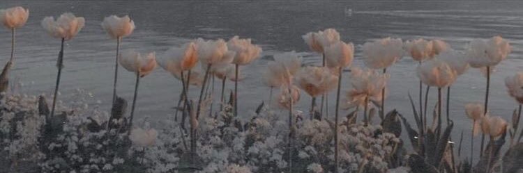 zhiakhalid's profile banner image