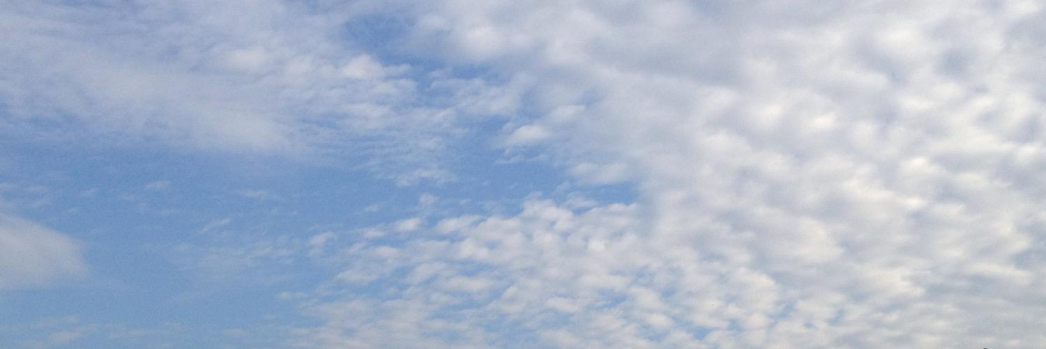 Ophspring's profile banner image