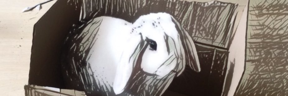 _Floguiot_'s profile banner image
