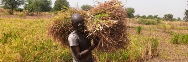 Adjizamtato Profile Banner