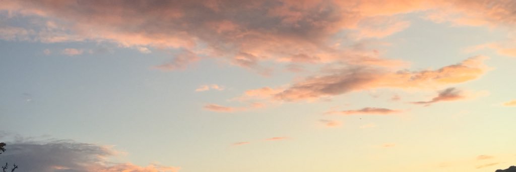 allesistaus's profile banner image