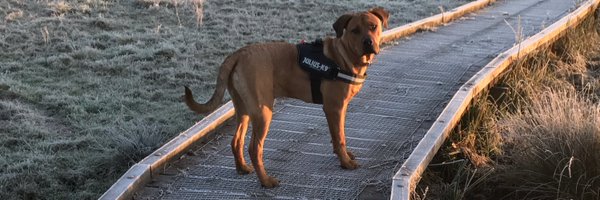 dean_S1983 Profile Banner