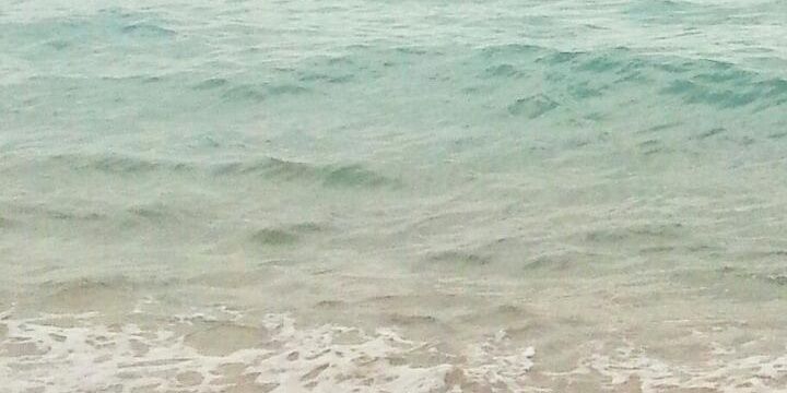 Beatriz Garcia banner
