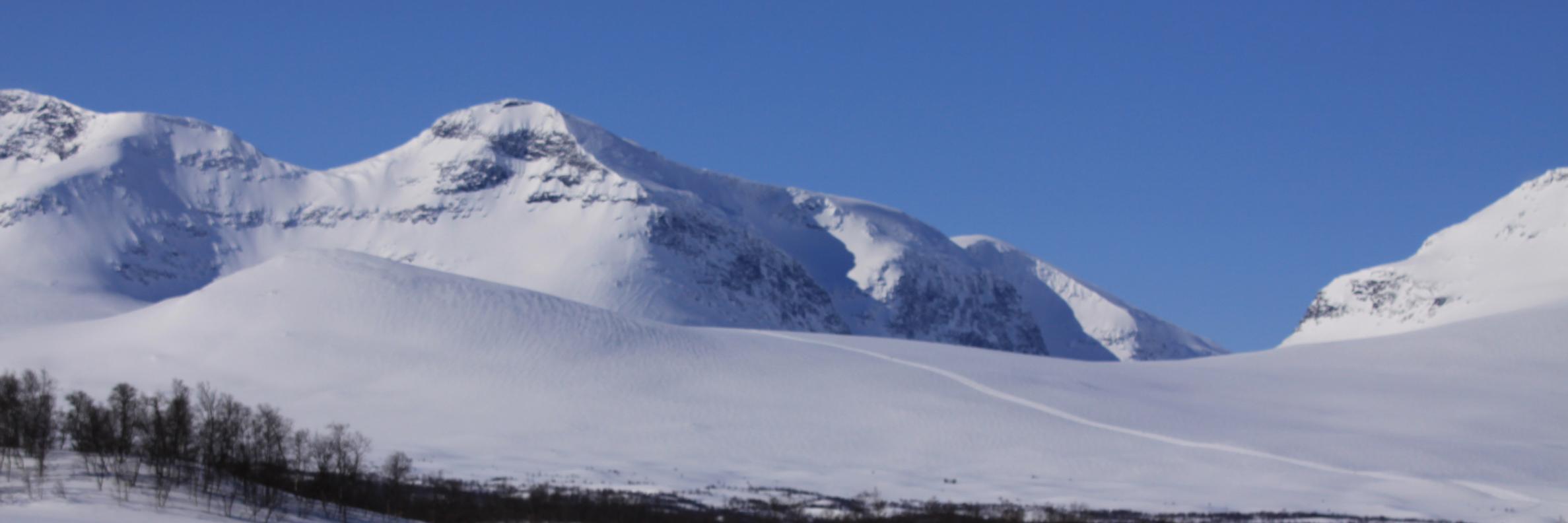 patte_p's profile banner image