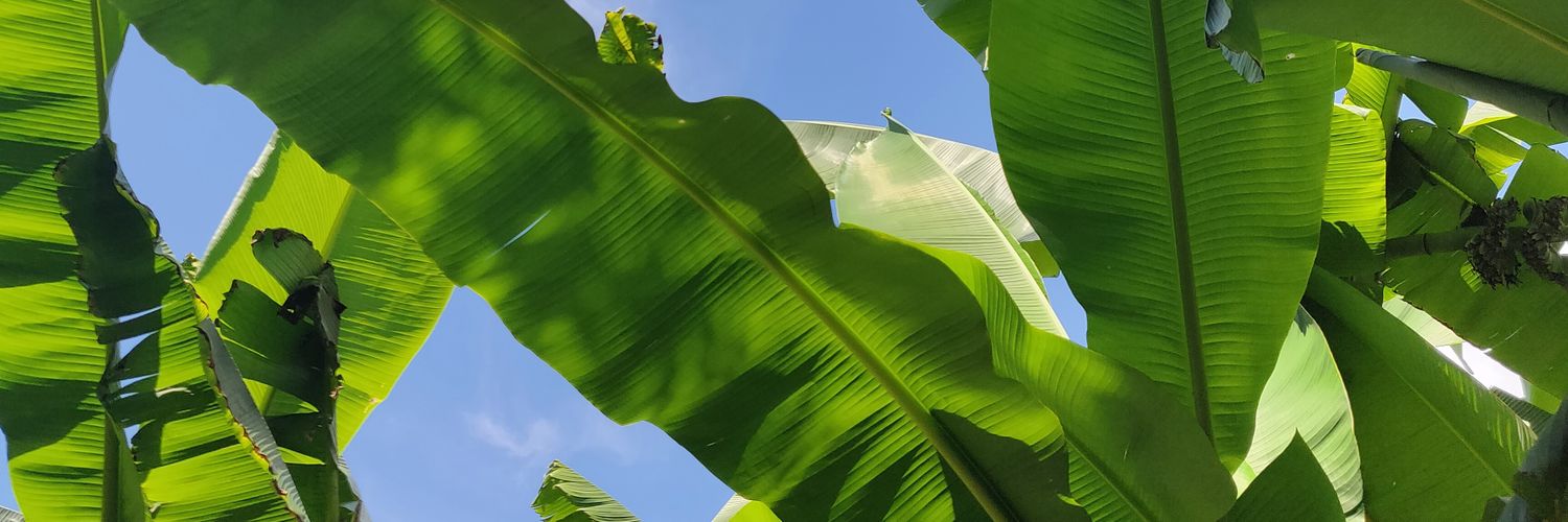 LemanachMel's profile banner image