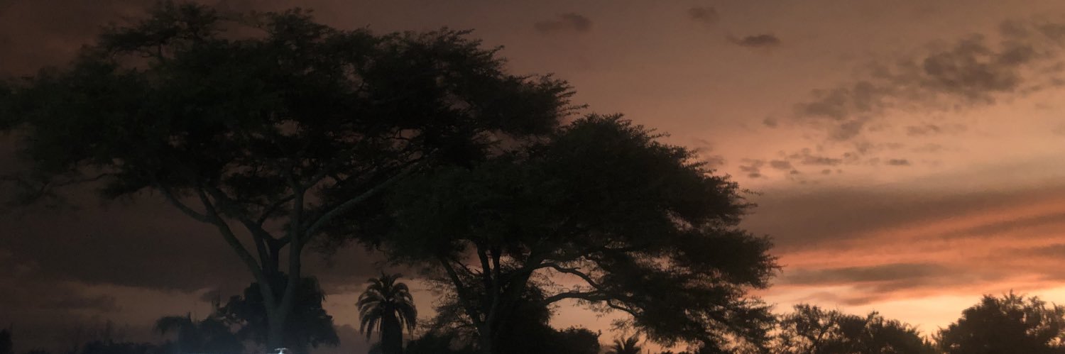 XSibanda's profile banner image