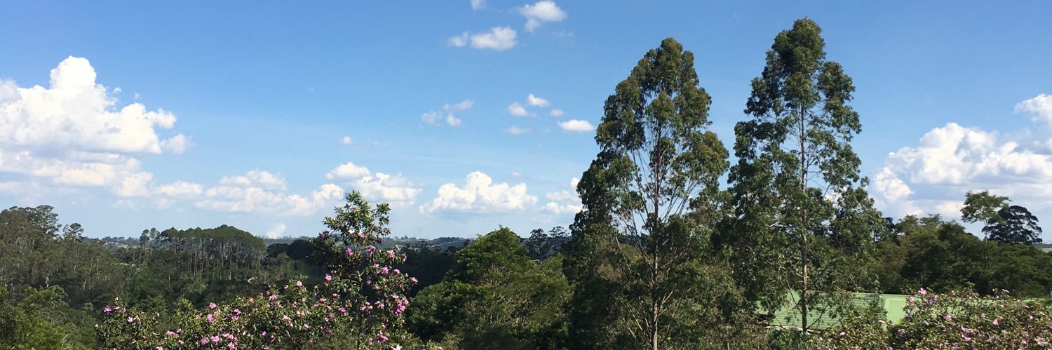 rigo_thaise's profile banner image