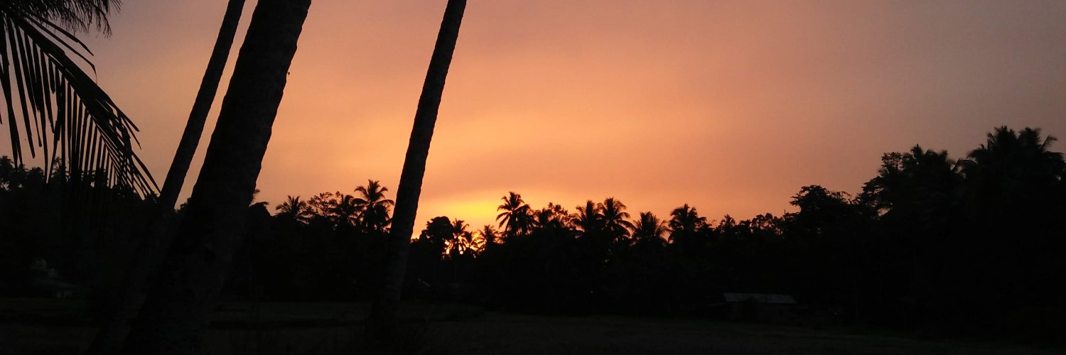 thewandererwind's profile banner image