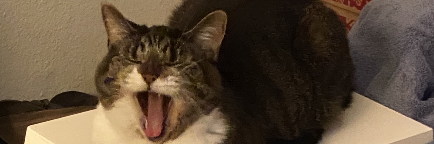 casey_o21's profile banner image