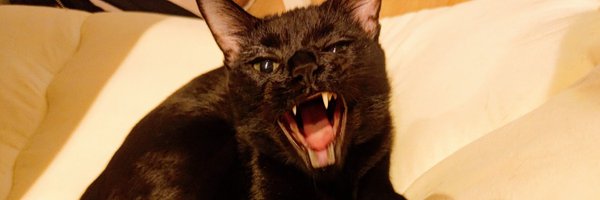 xiskuso Profile Banner