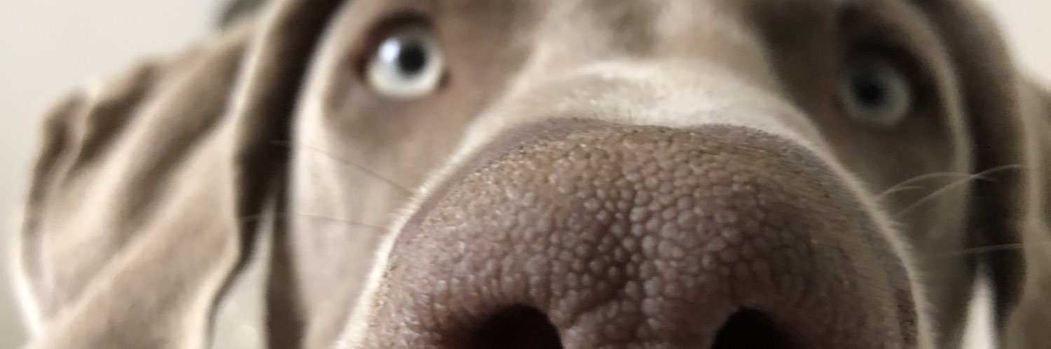 manonkld's profile banner image