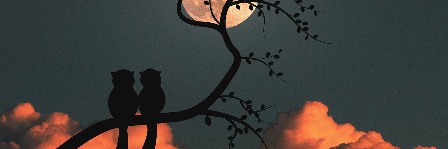 URSpellbinding's profile banner image