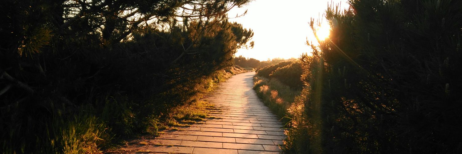 Sergi Perpiñá banner