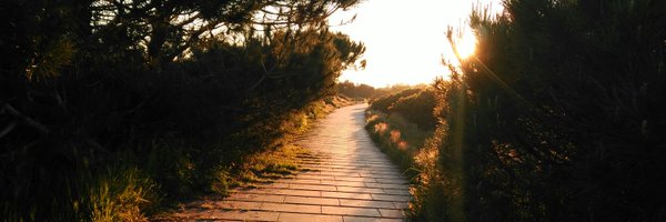 sPerpina Profile Banner