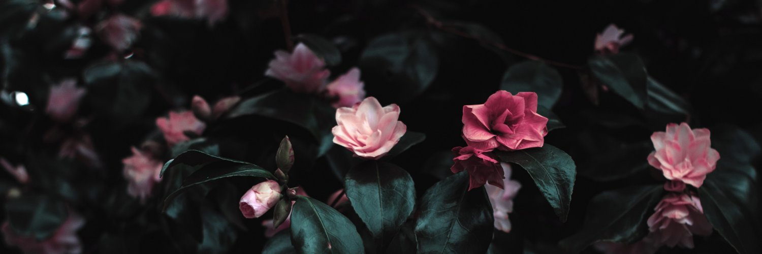 SandraJones_84's profile banner image