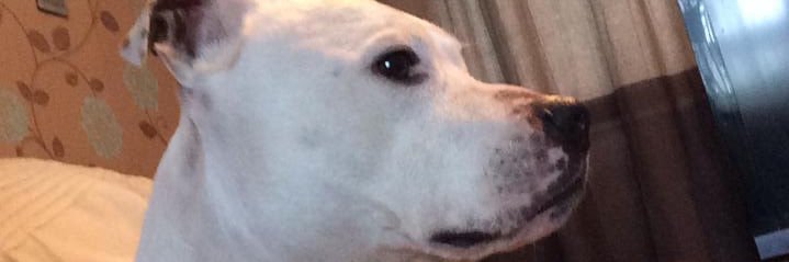 AddictedTo50's profile banner image