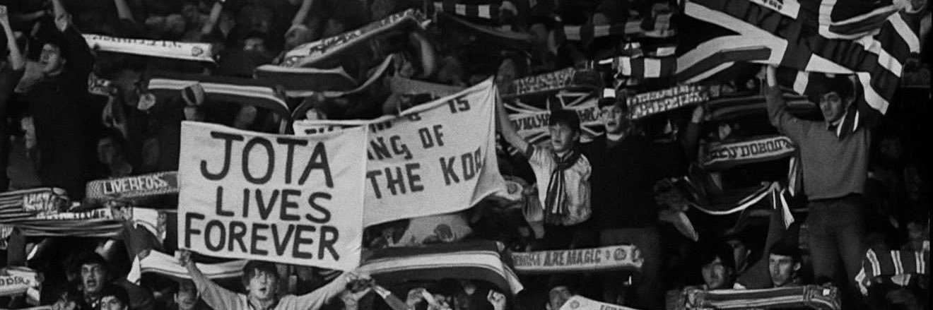 🐦‍🔥 banner