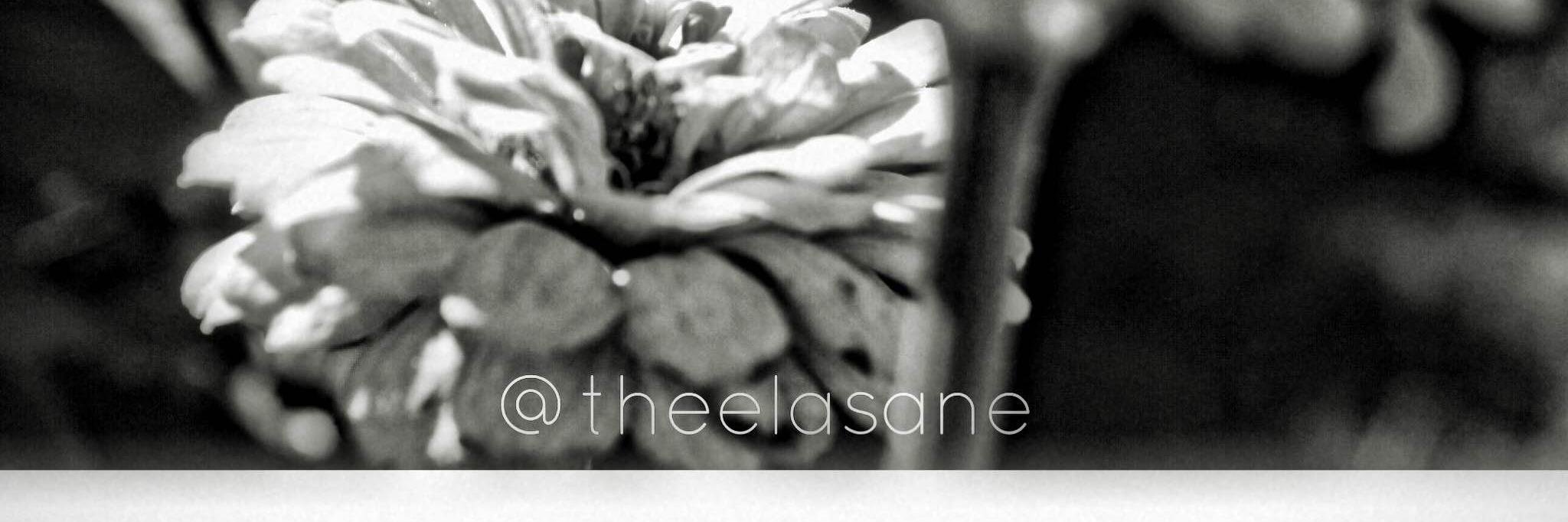 LASaneFanpage's profile banner image