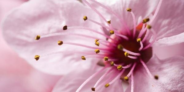 Sandrita_Calvo's profile banner image