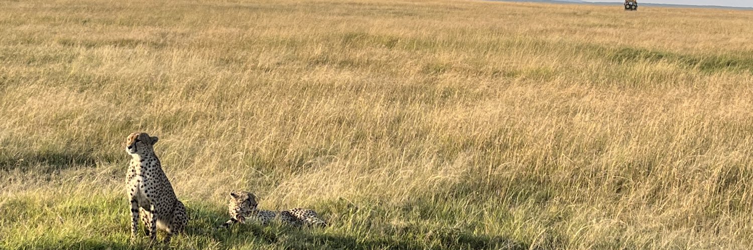SergioML3's profile banner image