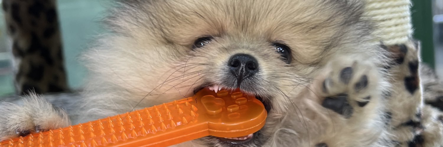 scarchas_'s profile banner image
