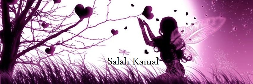 salah7days's profile banner image
