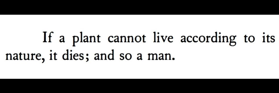 chinaski___'s profile banner image