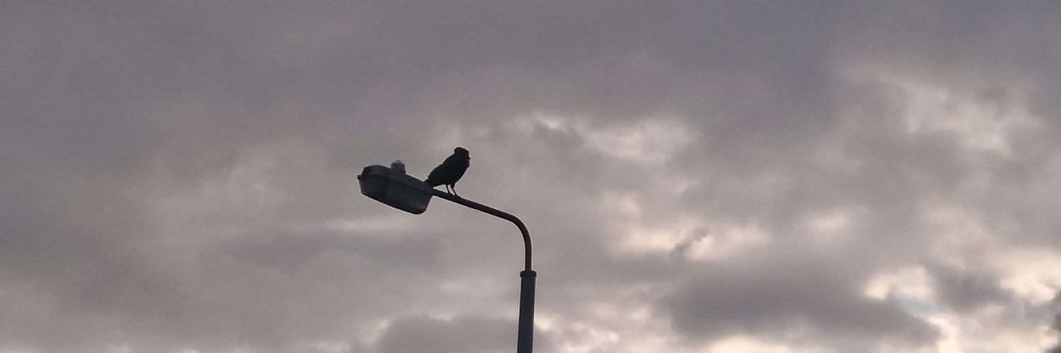 michelle jacques banner