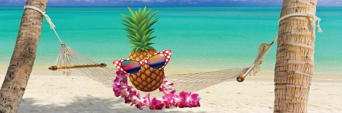 TropicalTastes's profile banner image