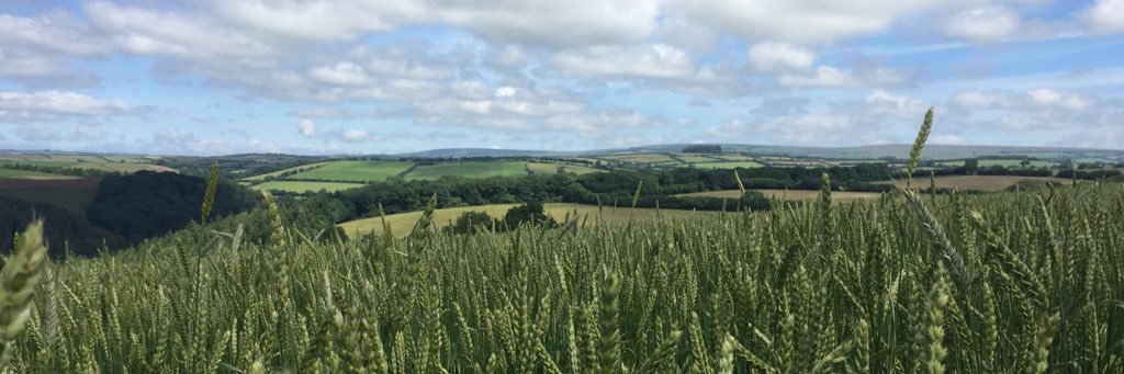 James Smaldon banner