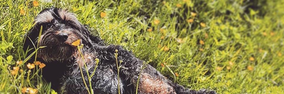 Carrie16x's profile banner image