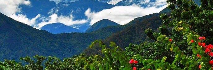 Valledupar2026's profile banner image