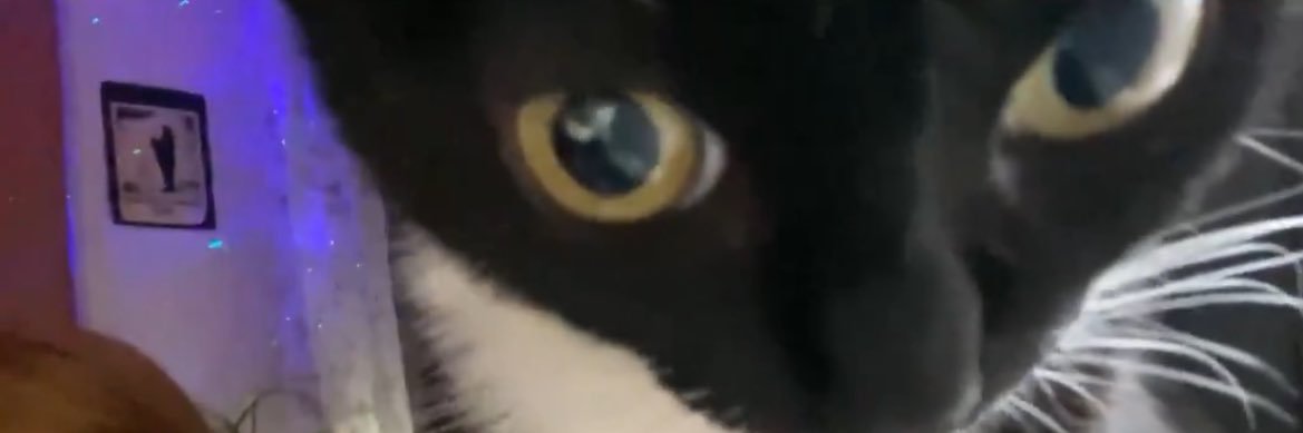 redflagim's profile banner image