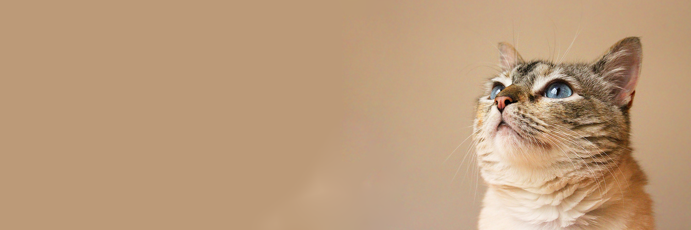 Esther_FD's profile banner image