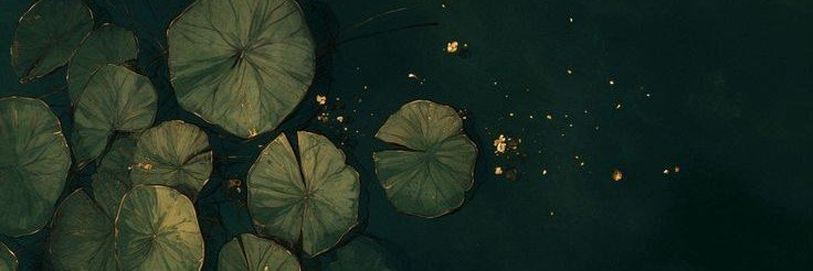 httpslea_'s profile banner image