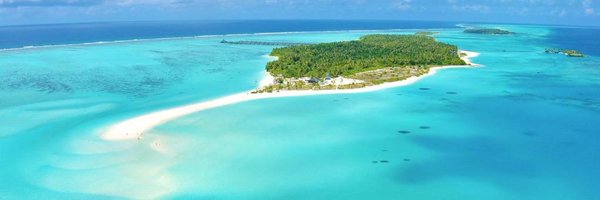 shomy_btc Profile Banner