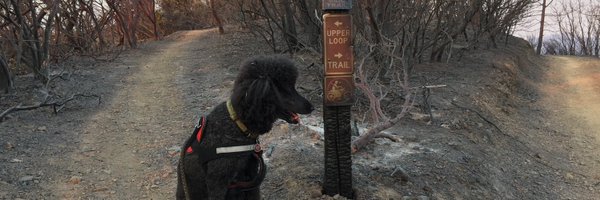 funkadunk99 Profile Banner