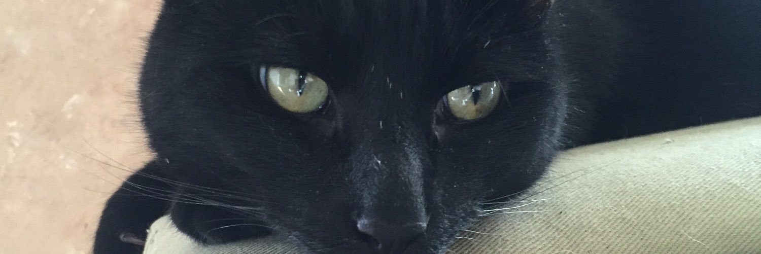 CJeff53's profile banner image