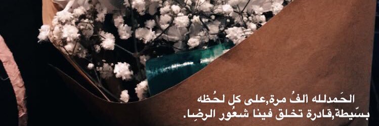 Sam_alinn's profile banner image