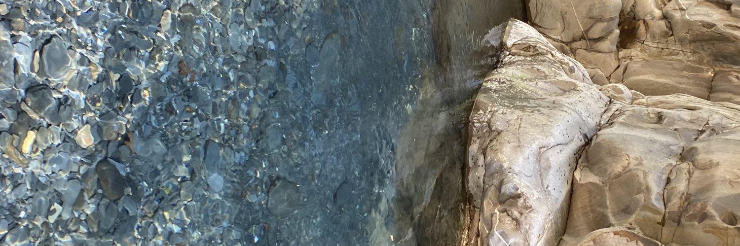 polydoris's profile banner image