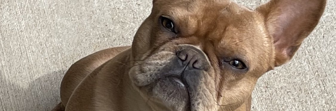 Mexaking85's profile banner image