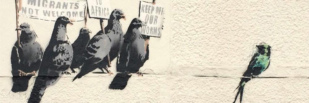 Daniela Fassini banner