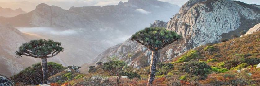 3li_707's profile banner image