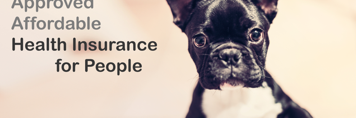 insurancemenu's profile banner image