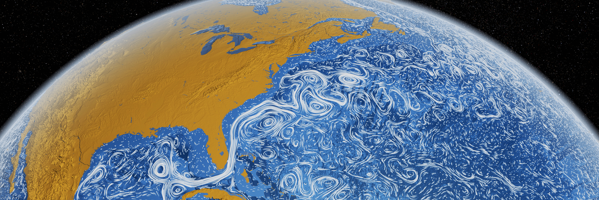 Rhonda Fanning banner