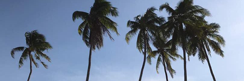 FadJmldn's profile banner image